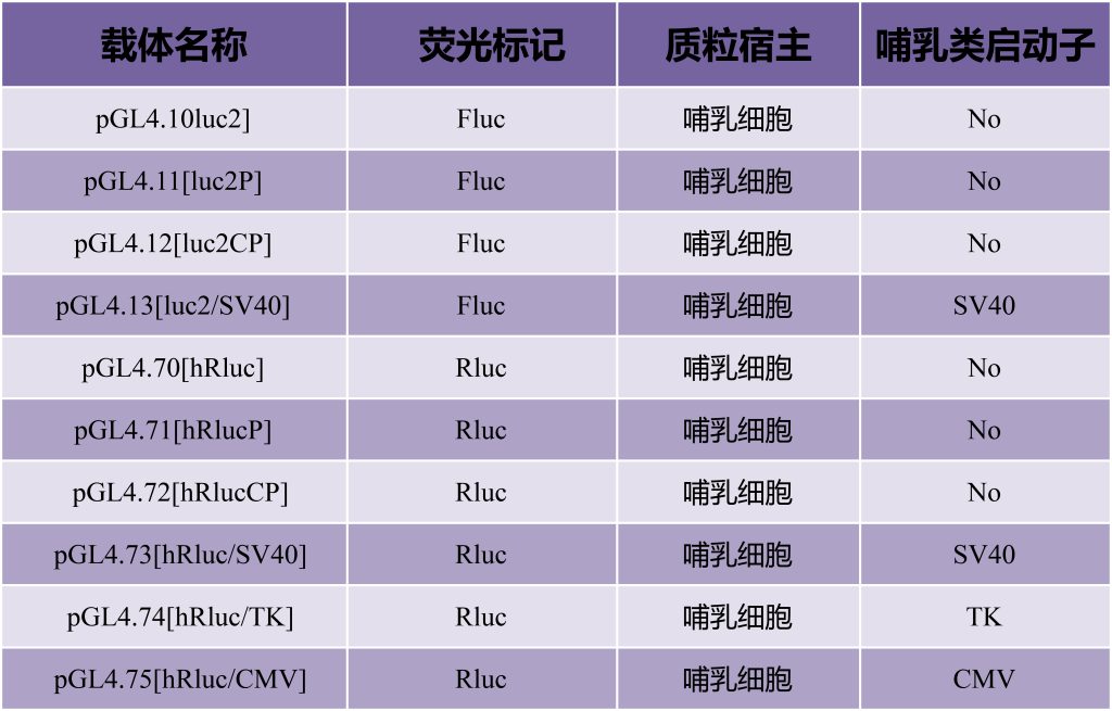 《双荧光素酶报告基因实验技术详解》