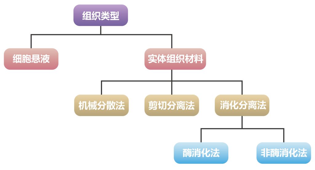 《【干货】细胞培养的良心操作！》