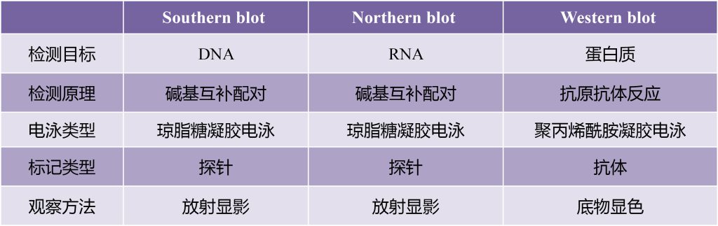 《走近实验技术中的“四大发明”之Southern blot、Northern blot和Western blot》