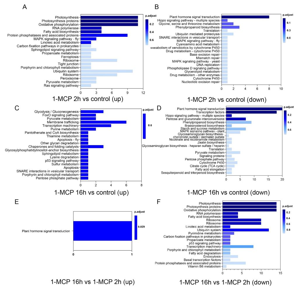 《解析表观遗传学的工具——ATAC-seq（二）》