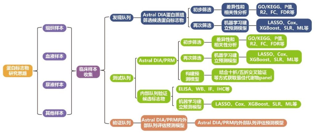 《伯远医学Astral DIA技术实现“筛选-验证”蛋白标志物一条龙服务》