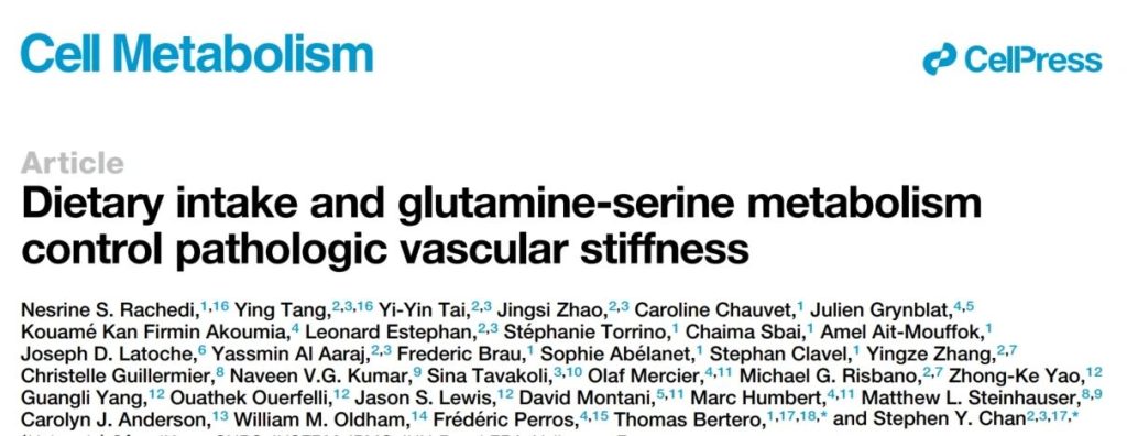 《《细胞·代谢》：血管硬化，竟源于“贪吃”！科学家揭秘血管周围胶原蛋白沉积原因，减少谷氨酰胺和丝氨酸饮食摄入或可治疗肺动脉高压》